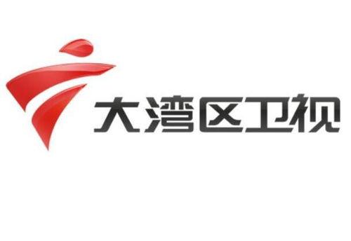 大湾区卫视爆料新闻,重大新闻事件深度解析  第1张 大湾区卫视爆料新闻,重大新闻事件深度解析  第1张