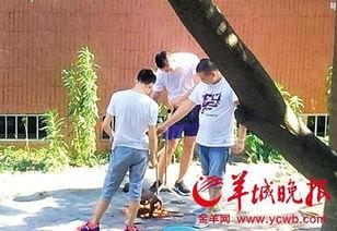 最新汕头爆料事件新闻,事件真相及影响深度解析  第3张 最新汕头爆料事件新闻,事件真相及影响深度解析  第3张