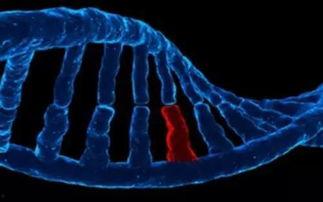 dna 在线观看,在线观看揭示生命密码之旅  第1张 dna 在线观看,在线观看揭示生命密码之旅  第1张