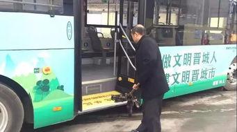 晋城公交爆料最新消息,揭秘新线路及优化调整详情  第1张 晋城公交爆料最新消息,揭秘新线路及优化调整详情  第1张