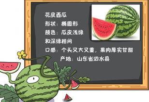闷头吃瓜小说免费阅读,揭开网络小说世界的免费阅读奥秘  第2张 闷头吃瓜小说免费阅读,揭开网络小说世界的免费阅读奥秘  第2张