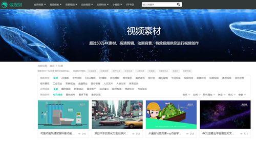 爆料类型的视频素材,视频素材背后的惊人真相  第2张 爆料类型的视频素材,视频素材背后的惊人真相  第2张
